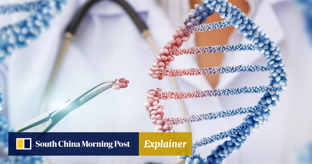 Explainer | What is gene editing? Who’s doing it? And is it right ...