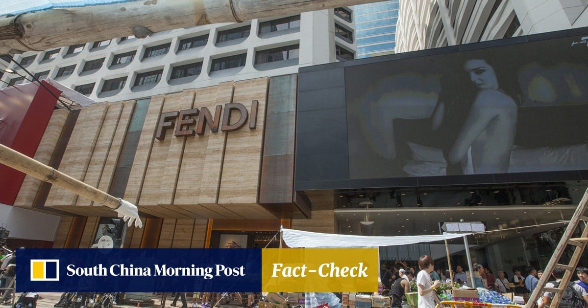 Luxury brands Fendi Versace and Burberry upbeat despite protests