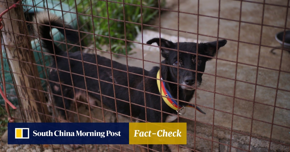 affordable animal clinic long beach