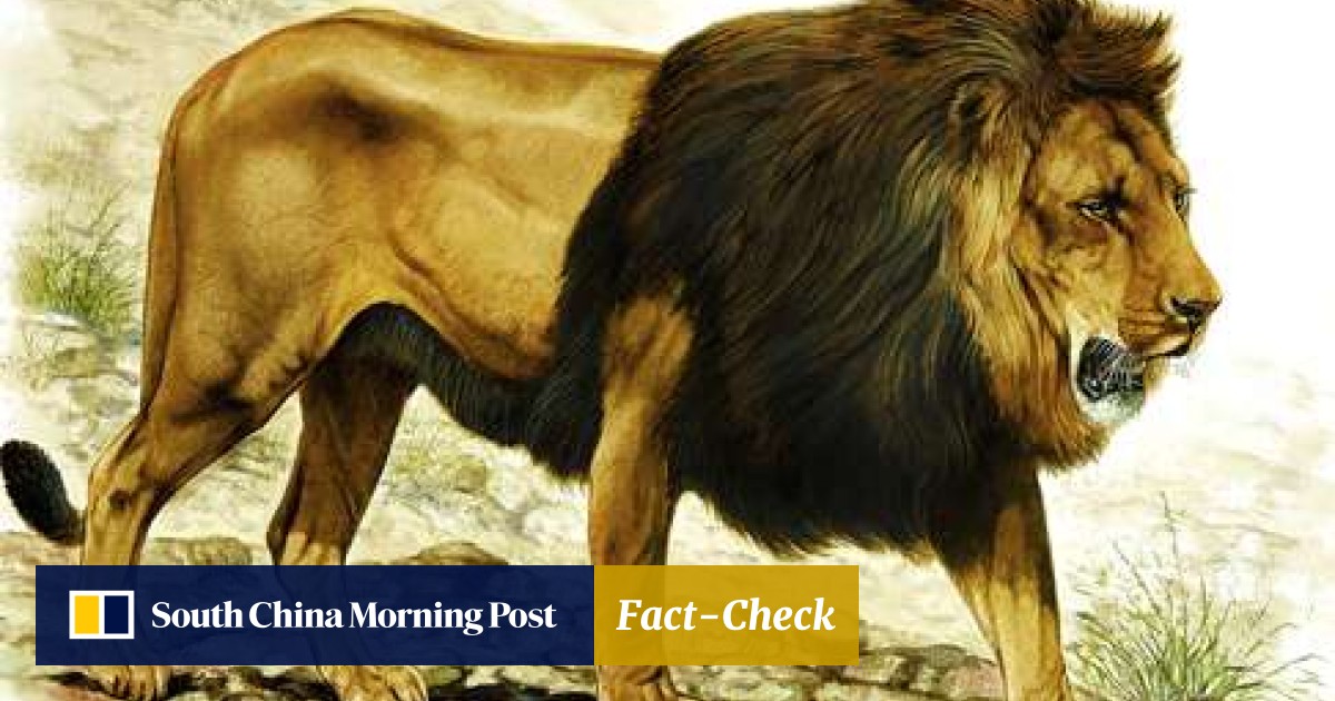 Eastern puma snopes online