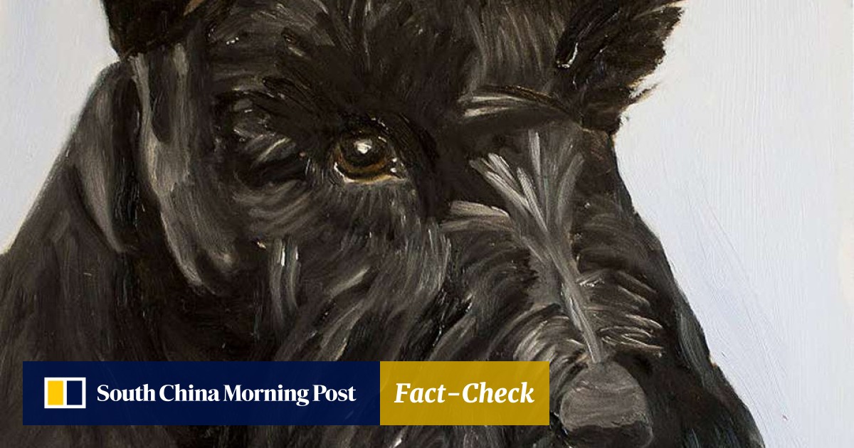 George Bush Paintings Dogs