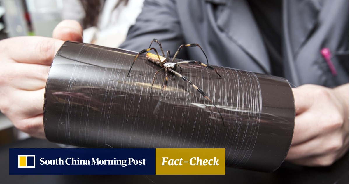 Spider silk: the bullet-stopping, plane-catching fabric that's got the  fashion world spinning | South China Morning Post