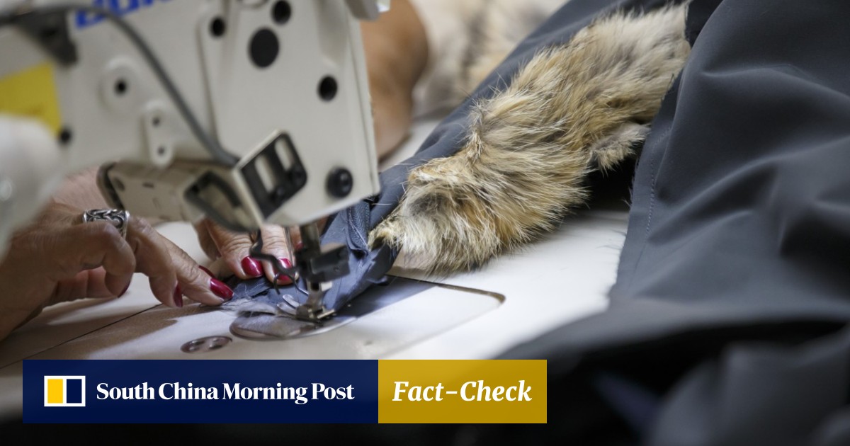 Snopes canada new arrivals goose jackets