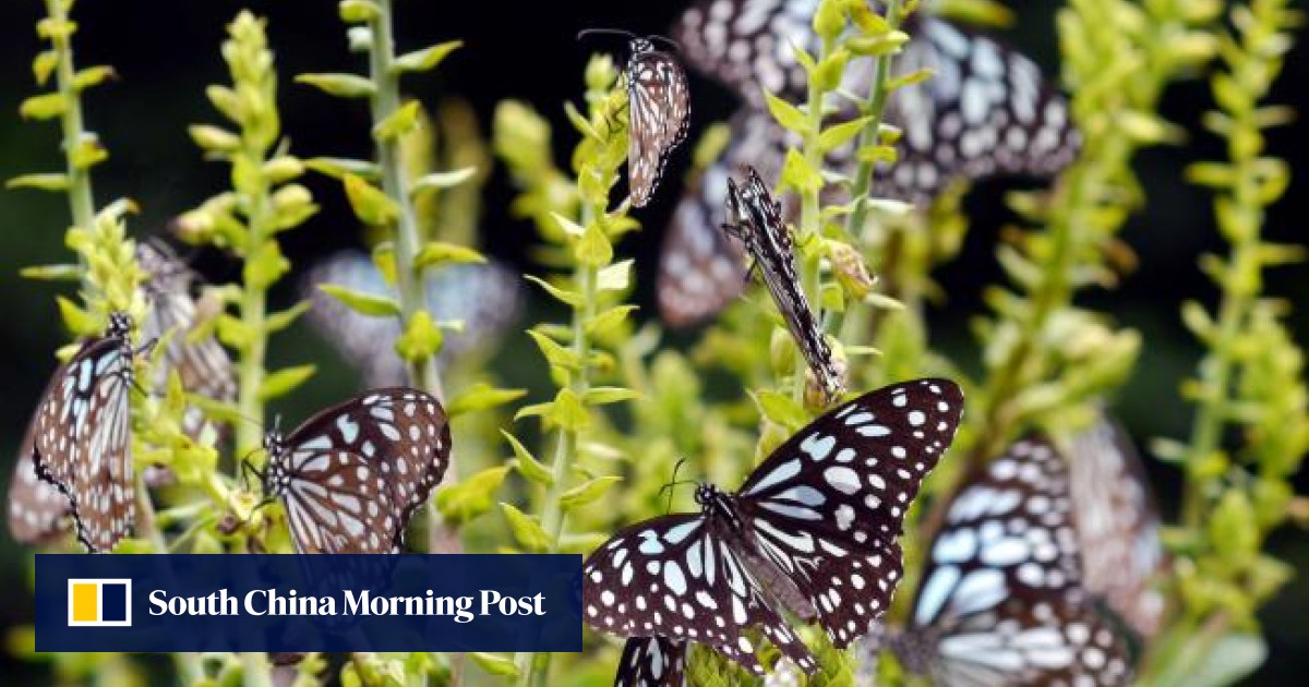 7f27559085680045cd5a2245f1c90e