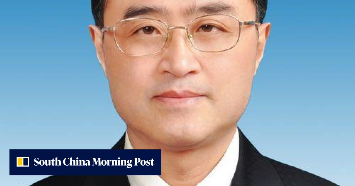 Uproar after Guizhou official Chen Mingming calls critics 'human ...