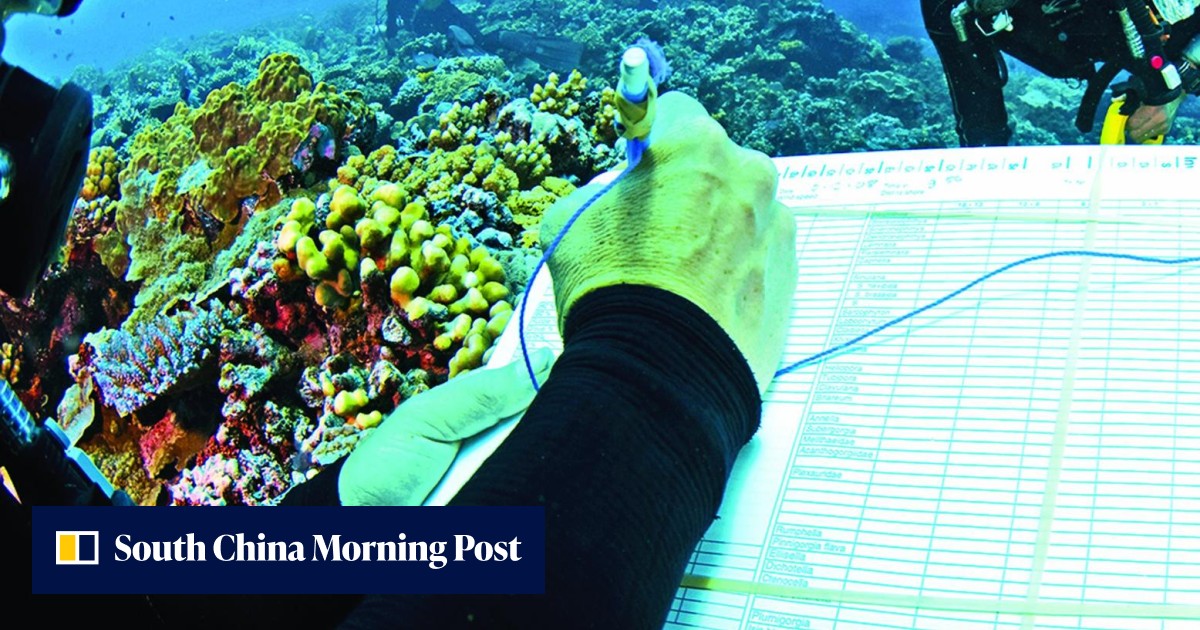 'World's smartest aquarium' to boost battle to save Great Barrier Reef ...