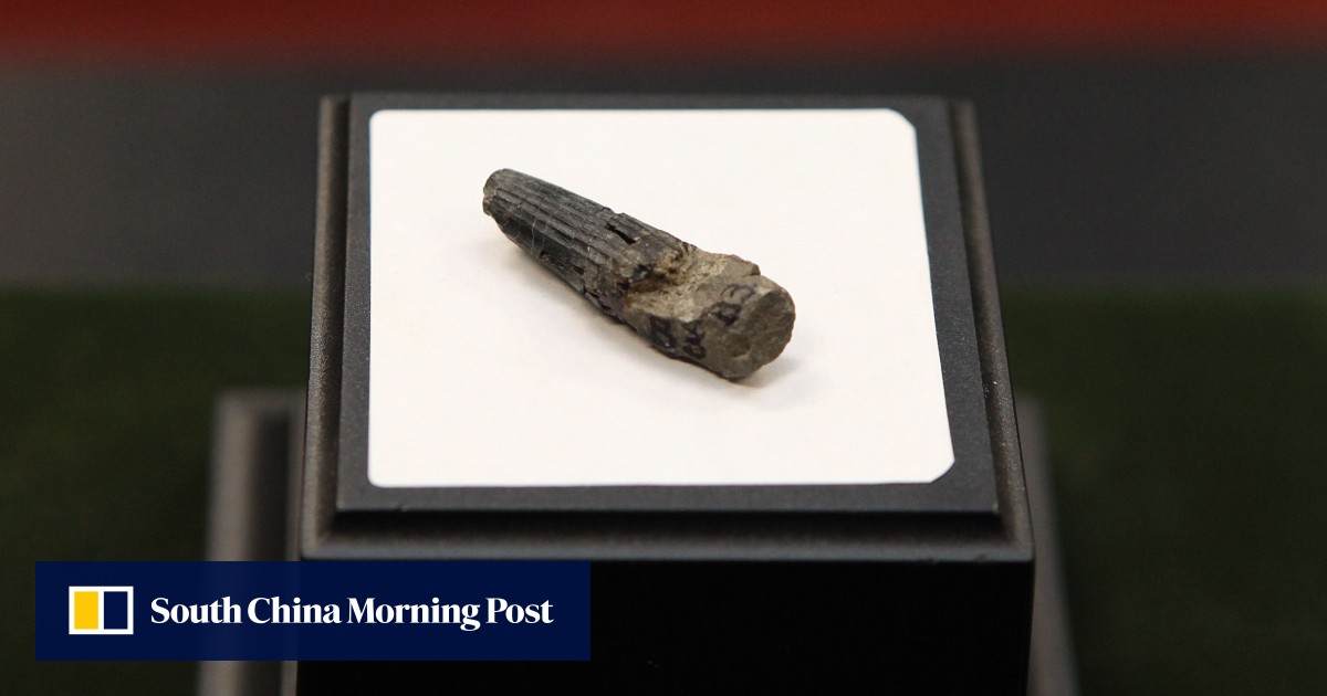 First Malaysian dinosaur fossil found, believed to be 75 million years