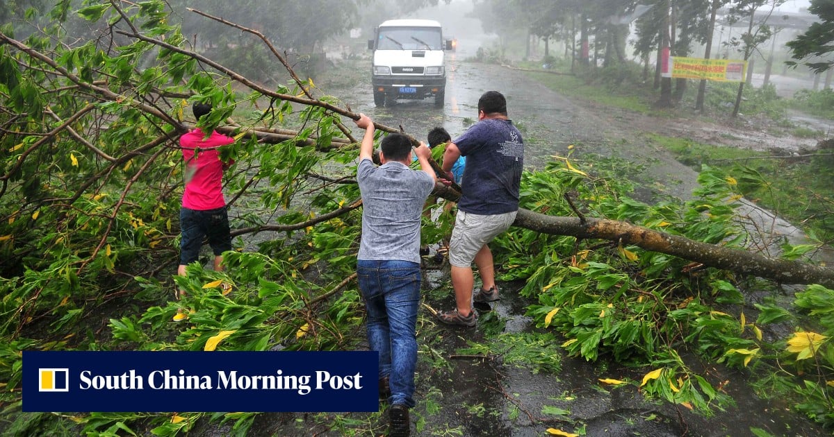 Severe damage and casualties as Super Typhoon Rammasun pummels southern ...