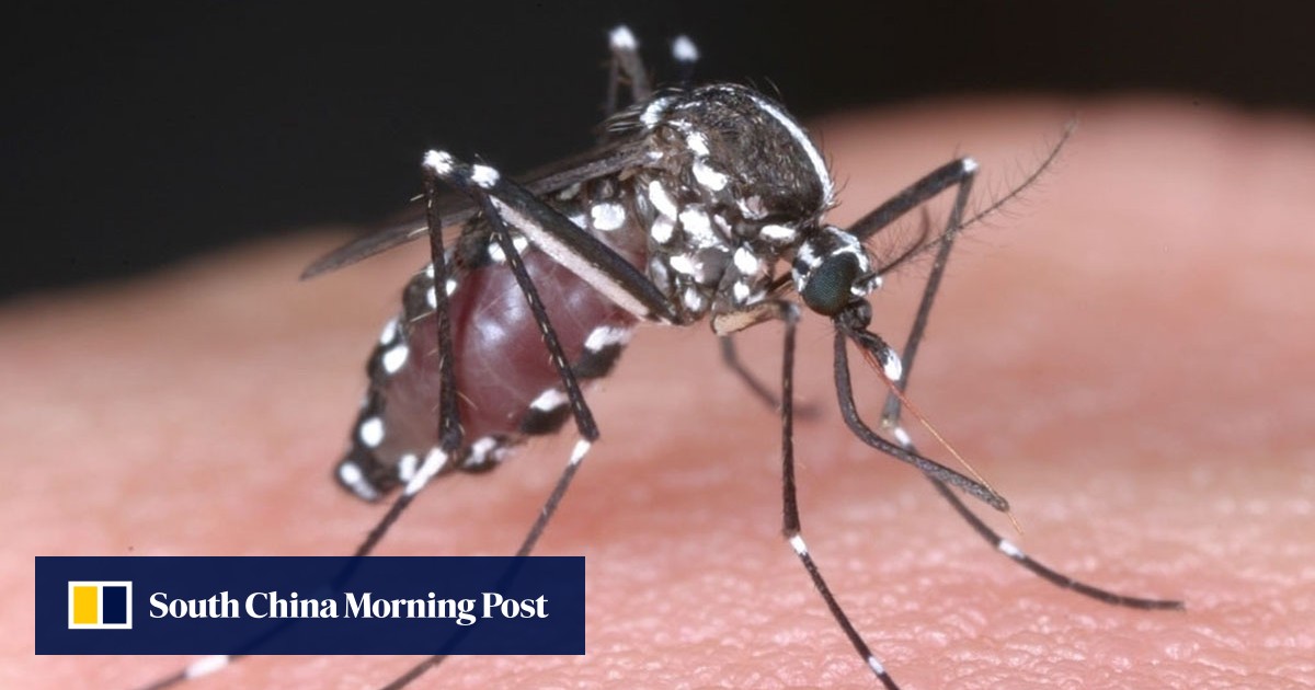 Teenager contracts dengue fever in Japan, in first such case in 70 years South China Morning Post