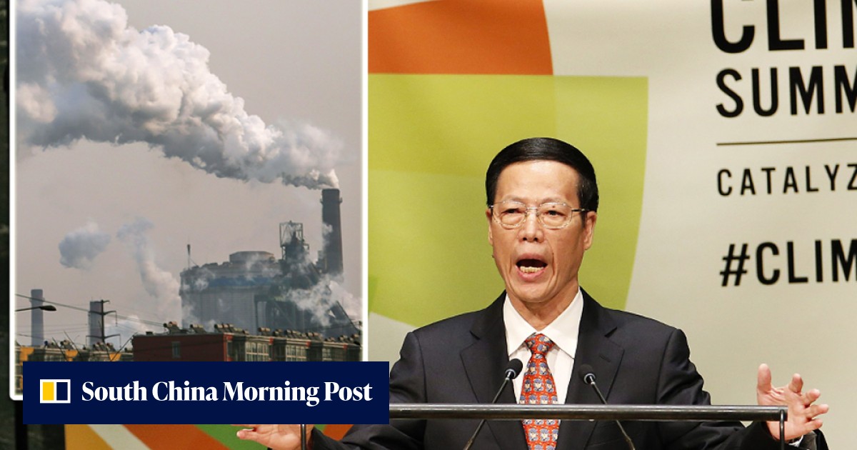 China will seek a peak in carbon emissions 'as soon as possible', vice ...