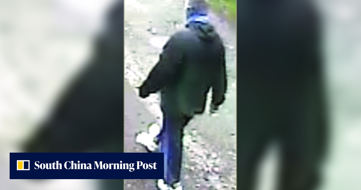 Vancouver police hunt sex attacker targeting elderly Asians | South ...