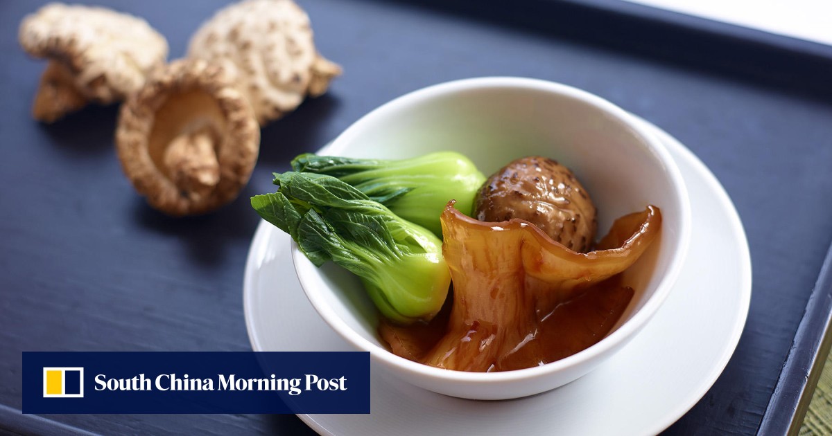 Table Talk: Casserole at the Regal Court, panini specials and Japanese hotpot | South China Morning Post Table Talk: Casserole at... 