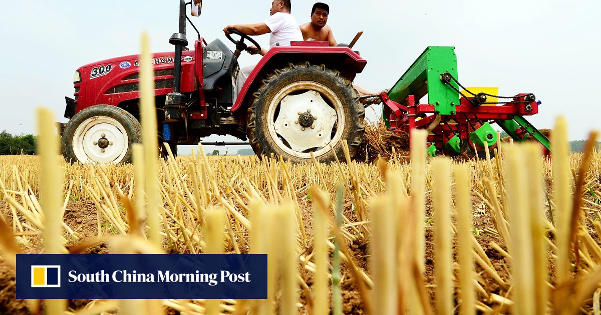 Modernising China’s Agriculture Key To Tackling Slower Economy, Says ...