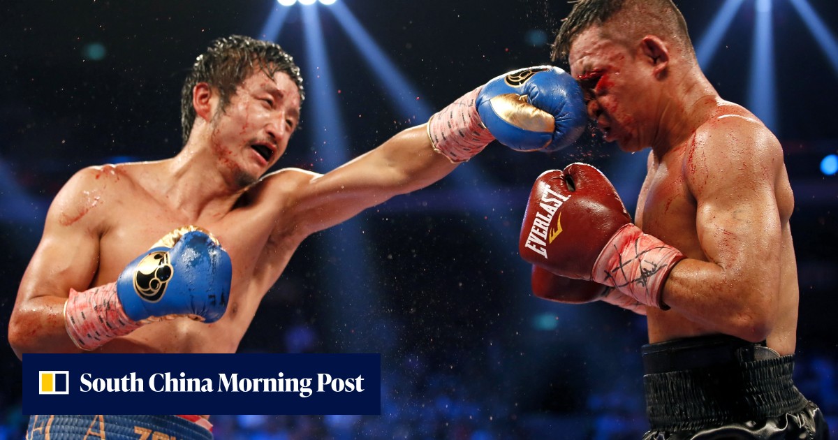 Zozo Boxing Zou Shiming will launch a boxing revolution in China, says Freddie ...
