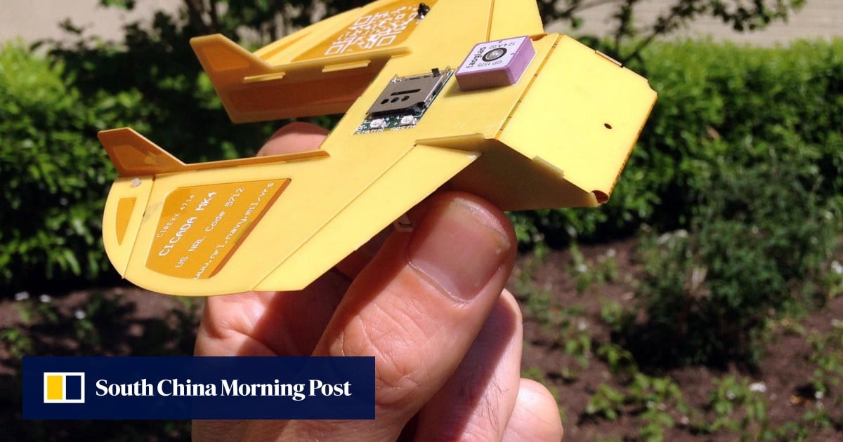 Cicadas US military's new swarm of minidrones South China Morning Post