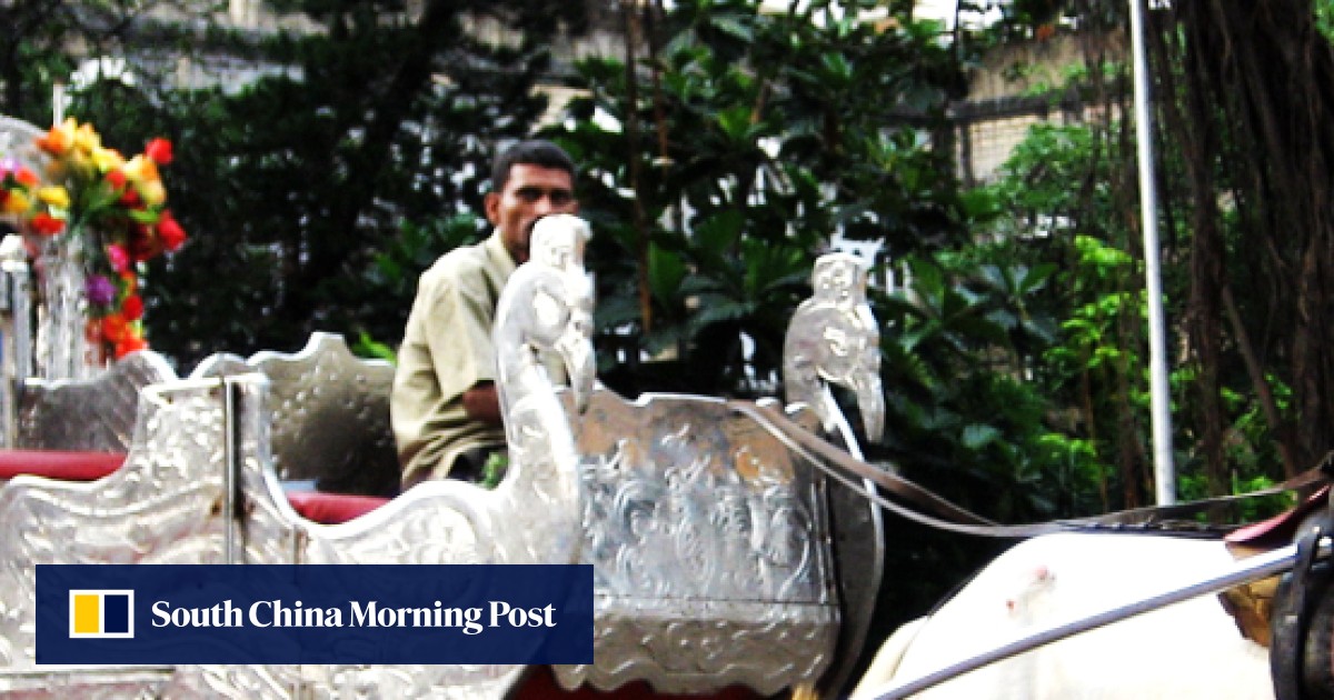 Bombay High Court bans Mumbai's 'cruel and dangerous' horsedrawn