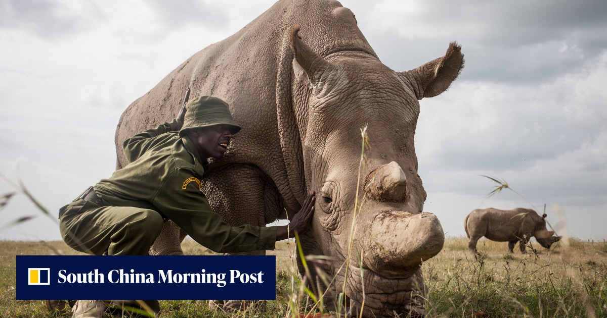 Humans may fall victim as world undergoes 'sixth great mass extinction ...