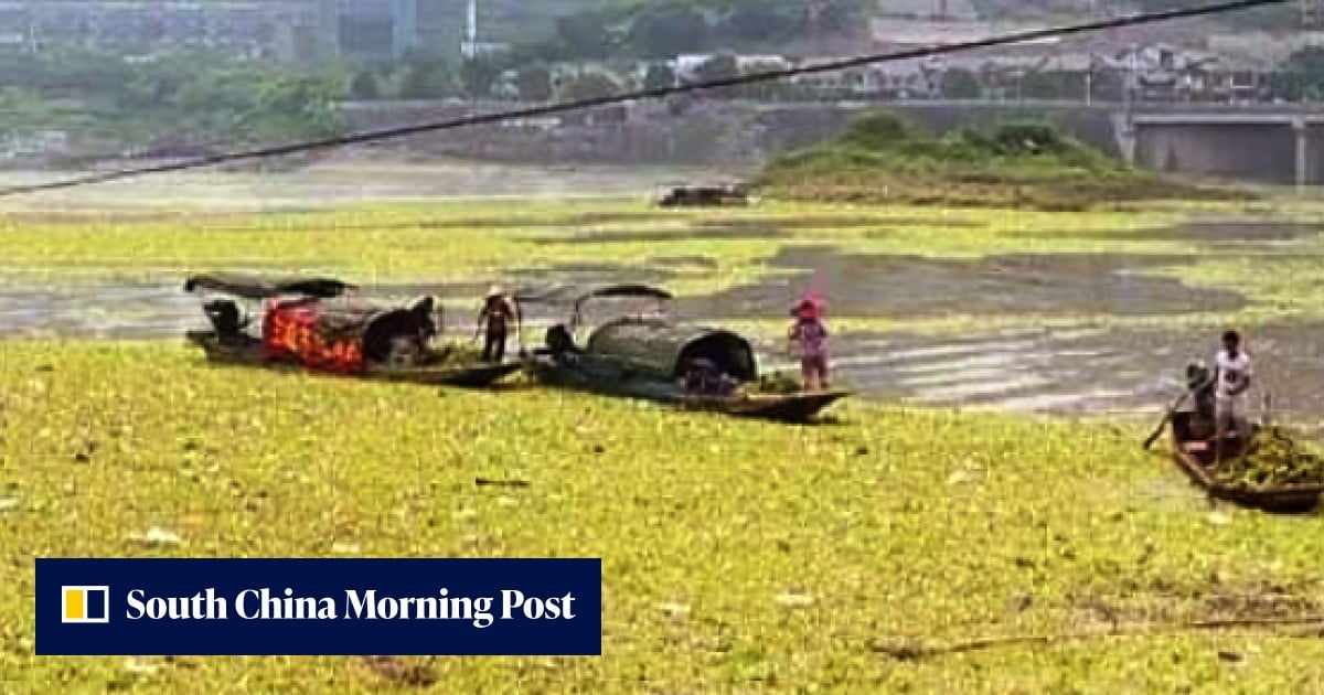 New | Clean-up ordered after China’s Yangtze turns into a river of ...