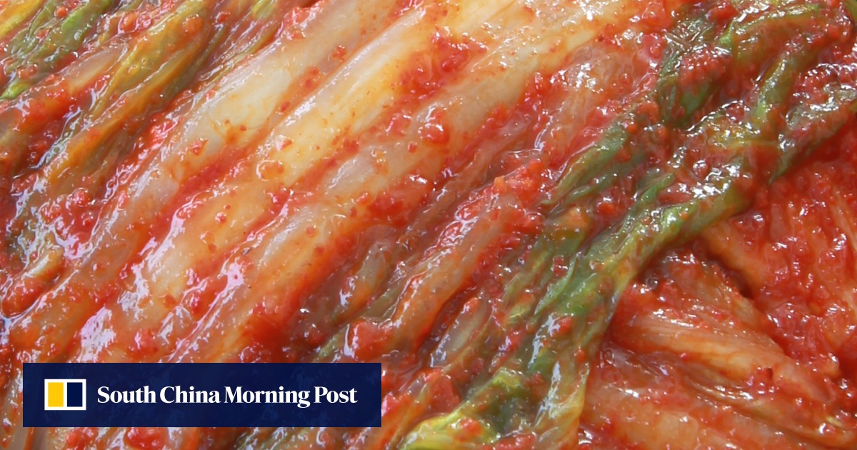 Kimchi recipes cabbage kimchi, and kimchi chigae South China Morning