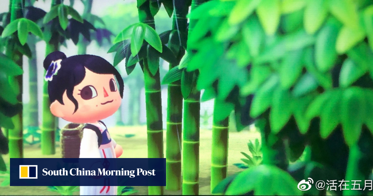 Chinese Gamers Decorate Animal Crossing With Propaganda And Covid 19 References South China Morning Post