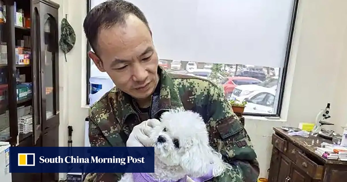 Ex-China military dog handler has 5 million online followers for low-cost pet treatments