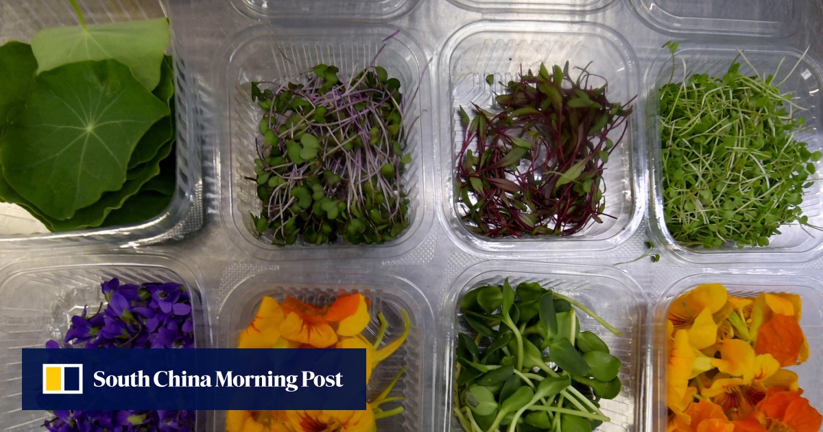 Edible flower grower hopes to see a ‘new culinary culture’ bloom in