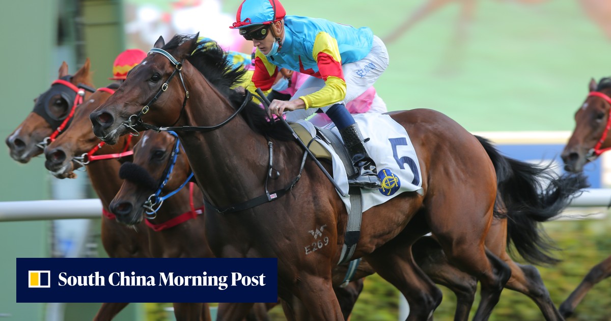 David Hayes has one eye on the Classic Series after young gun Fantastic ...