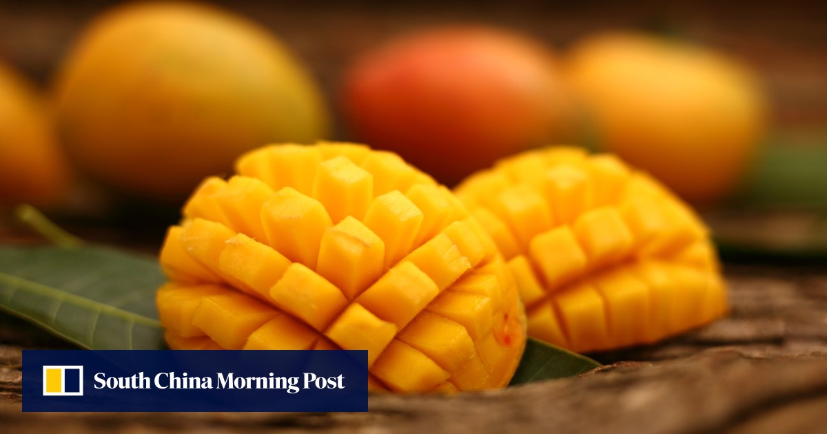 Mango wars on Indian Twitter, and why celebrities and politicians love