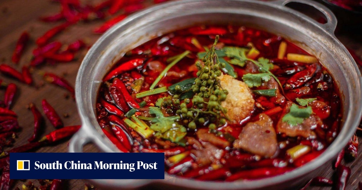 Dim Sum Indiana Indian food for brunch, dim sum and duck for visitors: places a Scot ...
