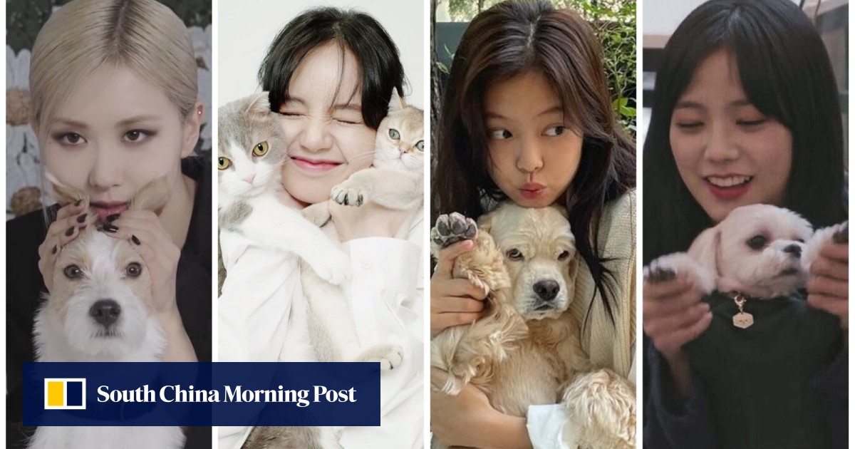 Blackpink's pets: Lisa, Jennie, Rosé and Jisoo all own adorable puppies,  but which was sent a bespoke Dior bag, and is one of them really named  after Exo's Kai?