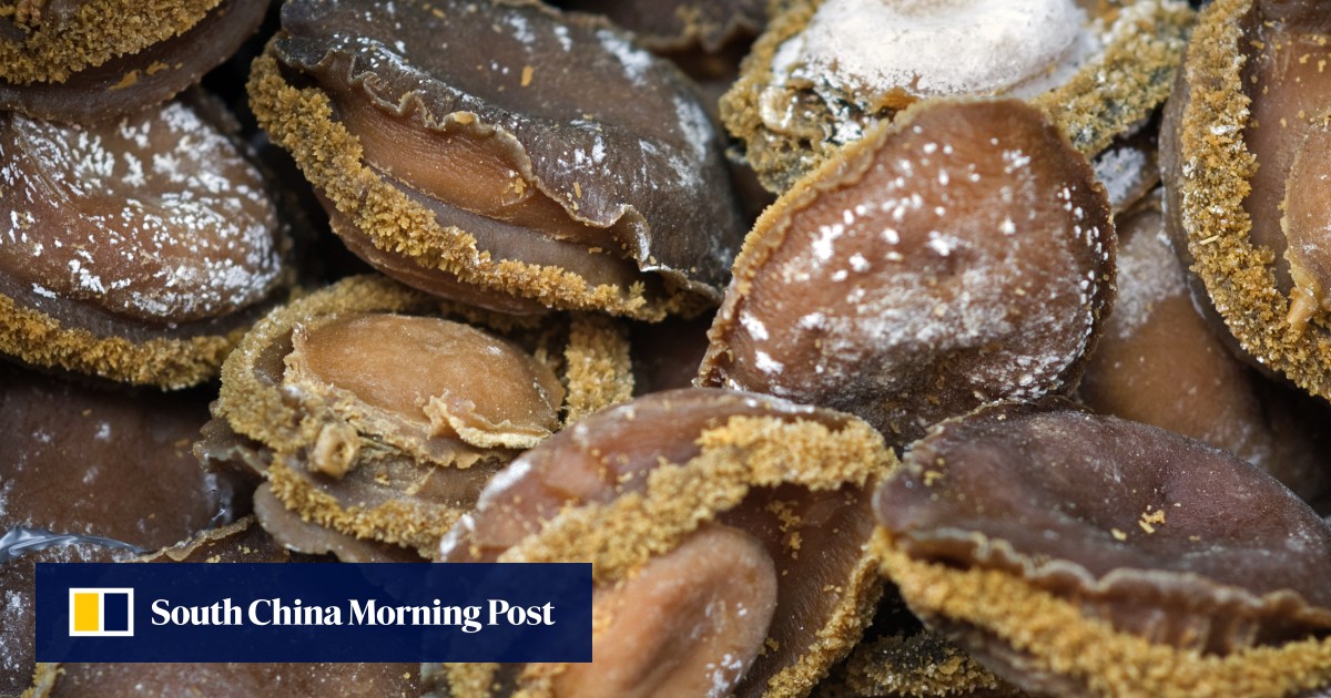 South Africa jails two Chinese nationals for abalone poaching South