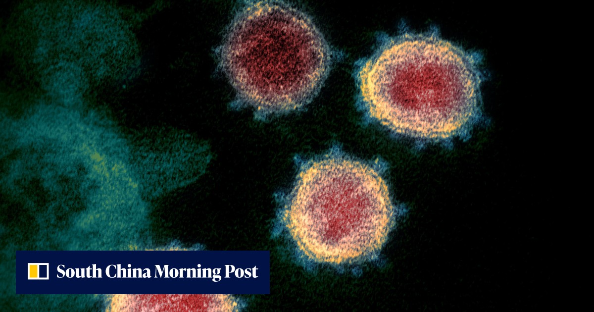 Why the rapid spread of ‘mild’ Omicron is cause for alarm | South China ...