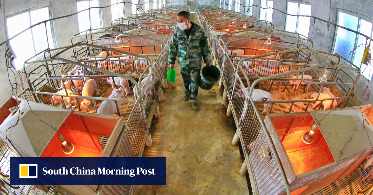 China’s Pork Industry and the Quest for Food Security