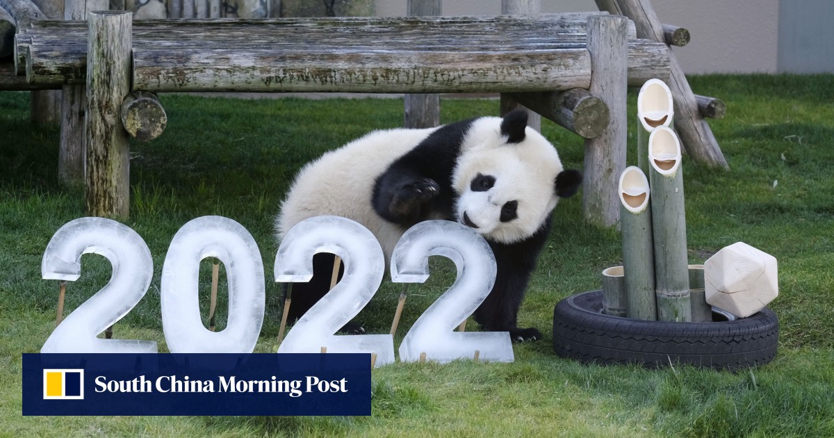 Asia in 2022: China's reopening after Omicron, elections in the ...