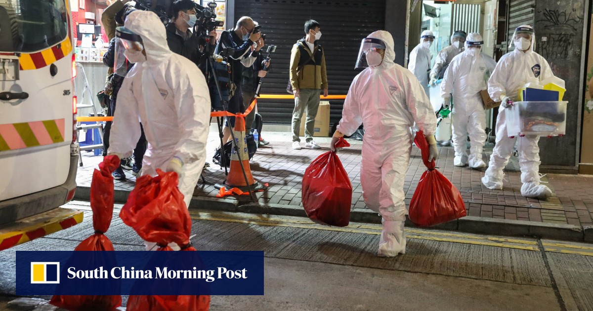 Coronavirus 2,000 hamsters to be culled over fears of first animalto