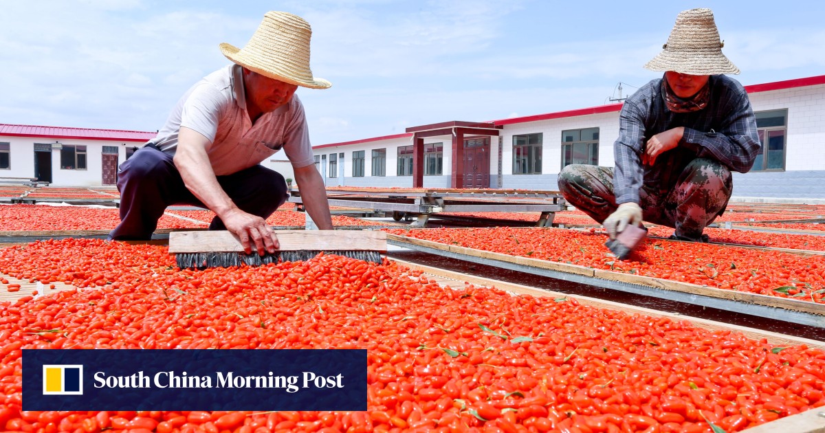 For your eyes only: daily intake of goji berries keeps the optometrist away