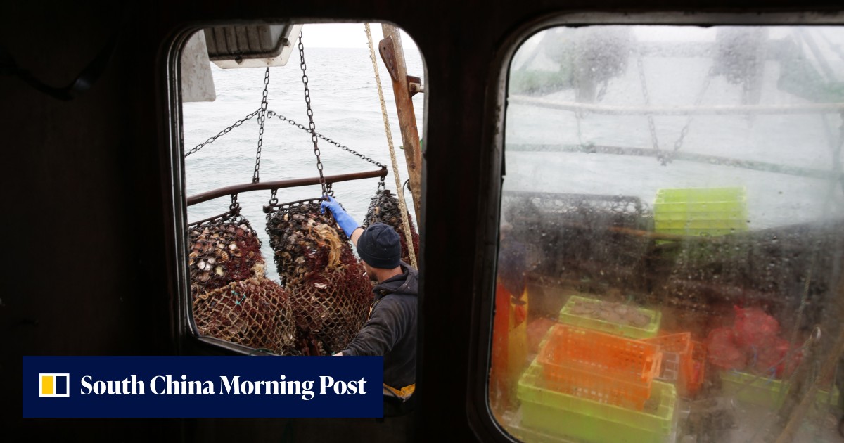 Spanish trawler sinks off Canada, killing ‘several’ crew; 3 survivors ...