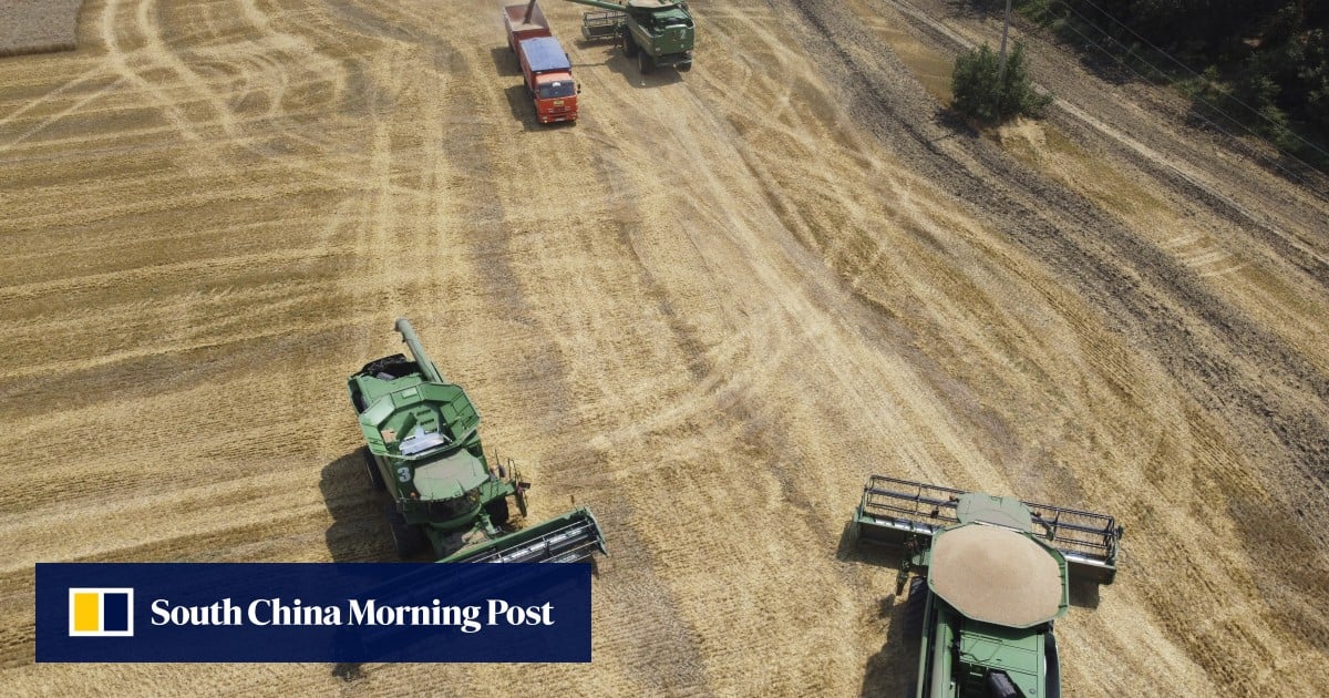 China lifts all wheat-import restrictions on Russia amid Ukraine crisis