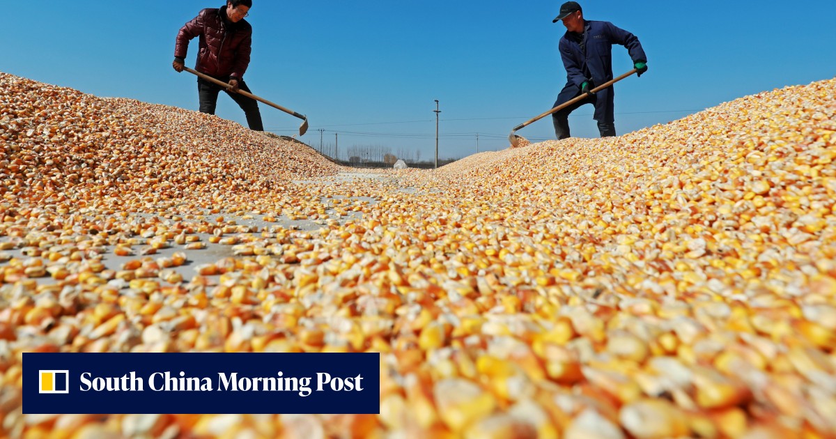 China boosts US agriculture purchases over ‘very tight’ soybeans supply ...