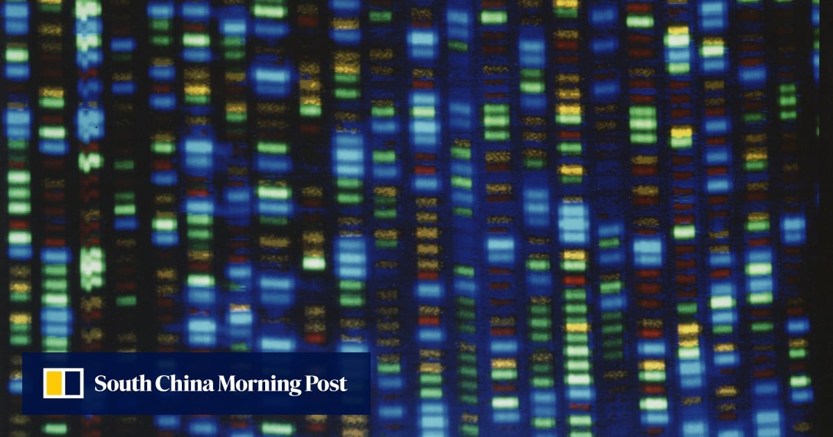 Scientists finally finish decoding entire human genome Scientists finally finish decoding entire human genome