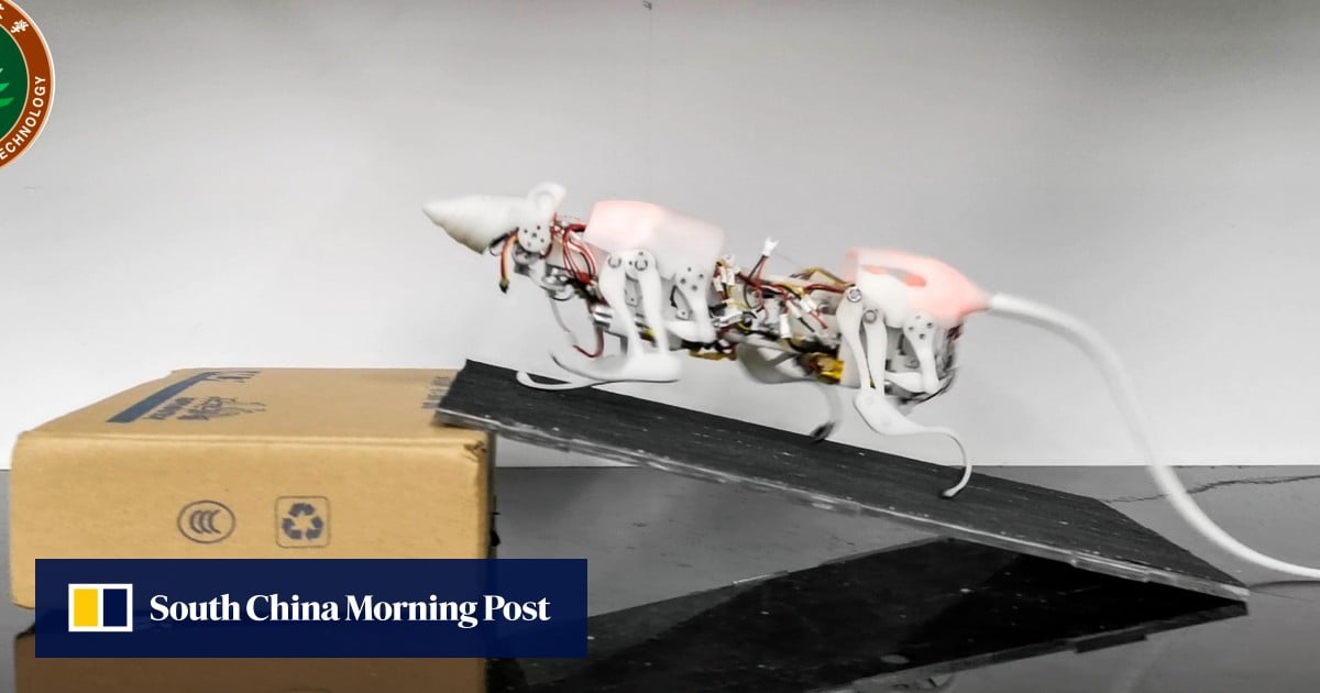 Chinese scientists create robot rat and it could prove to be a ...