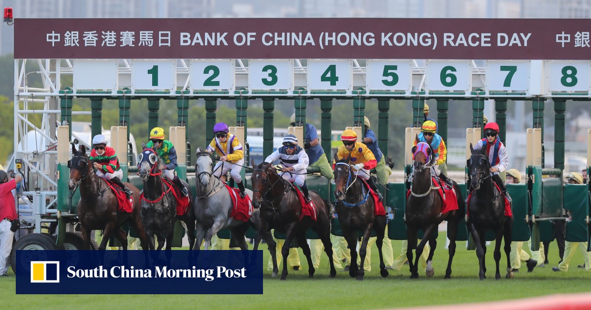 ‘Unscrupulous agents’ using HK as a ‘dumping ground’ for inferior bloodstock