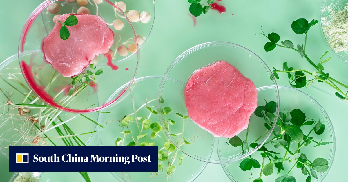 China’s CellX and Germany’s Bluu pool cultivated meat and seafood ...