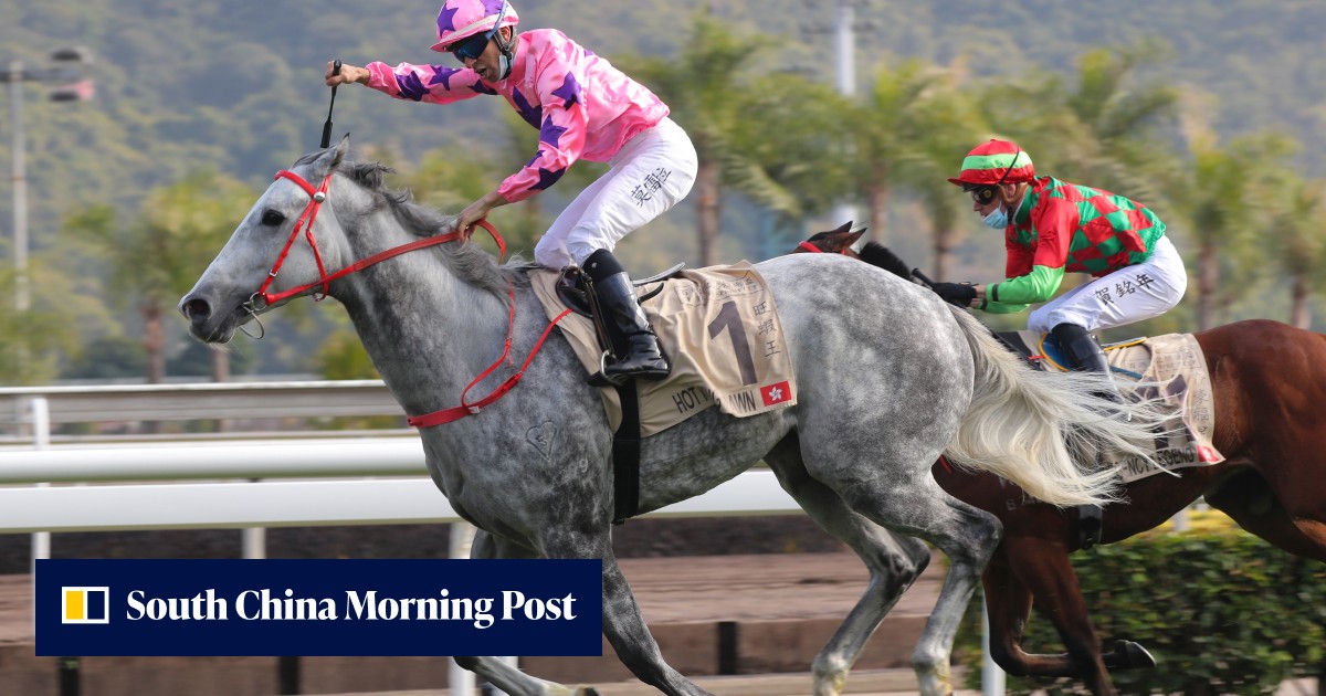 Hot King Prawn retires, no Japan for Panfield, Karis Teetan suffers ...