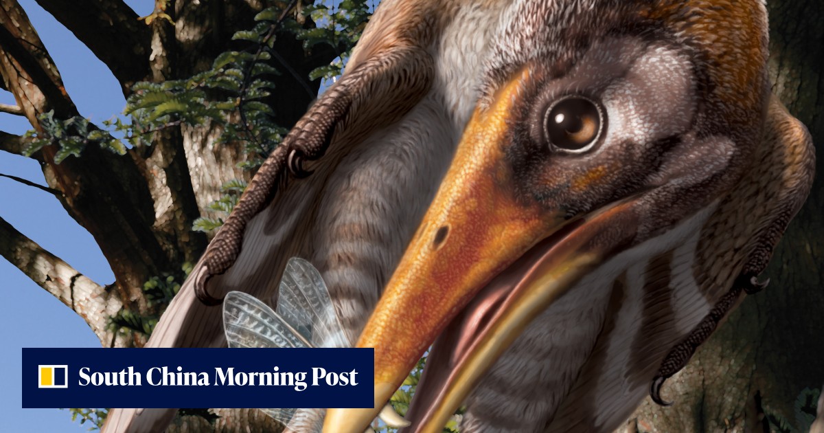 The earliest bird got the worm: new study finds a 120-million-year-old ...
