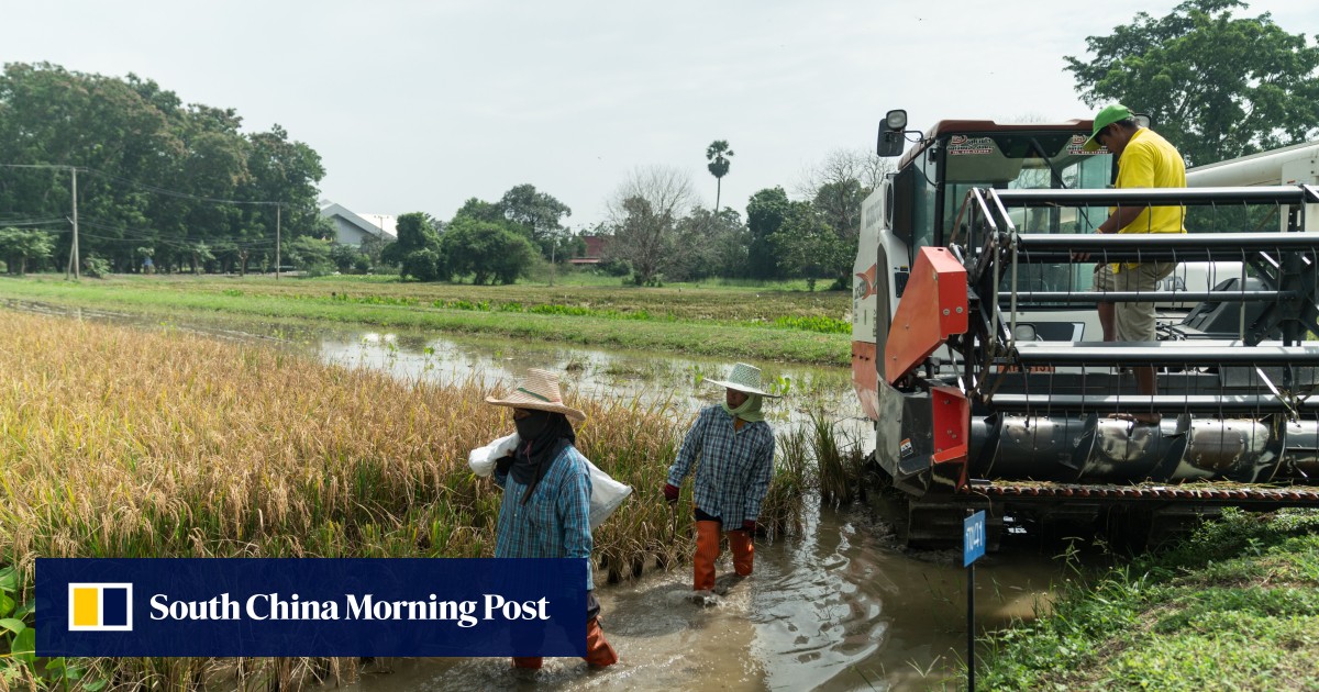 Amid global food insecurity, Thailand's Khok Nong Na model shows ...