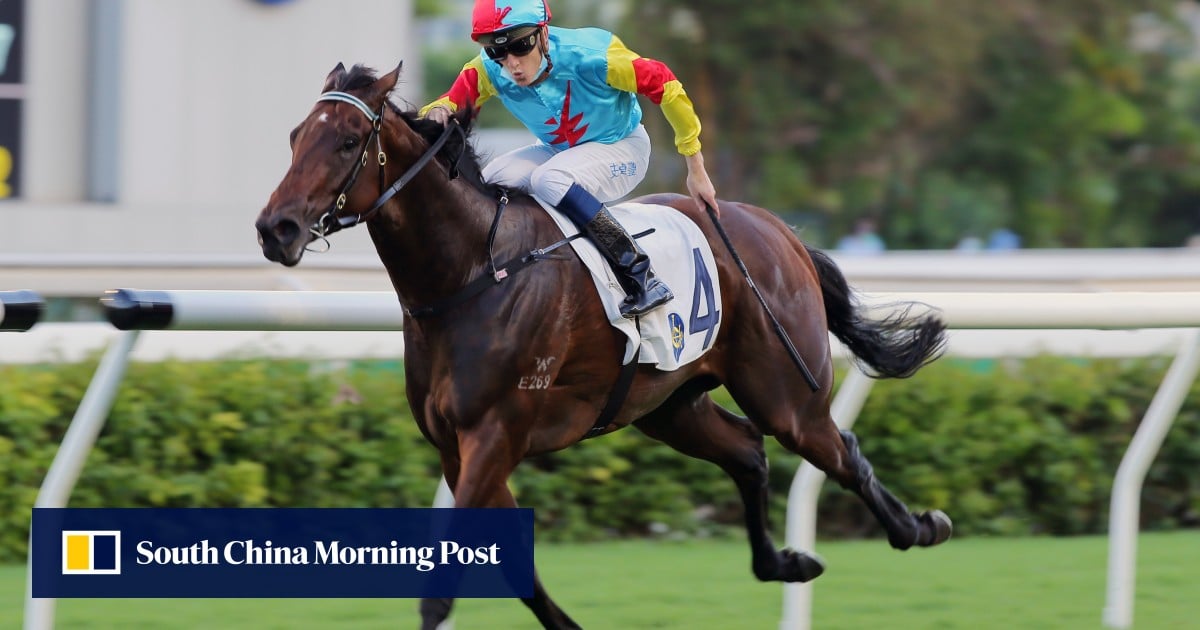 David Hayes hopes Fantastic Treasure can bring end to frustrations at Sha Tin