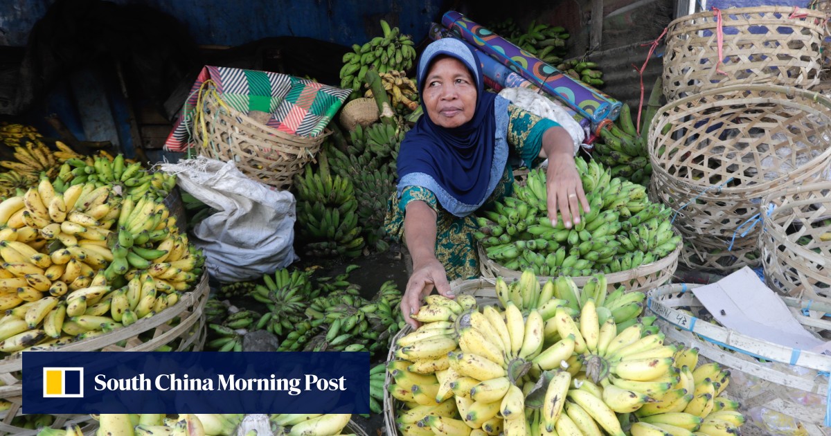 Inflation looks set to stay. What are asean economies doing about it?