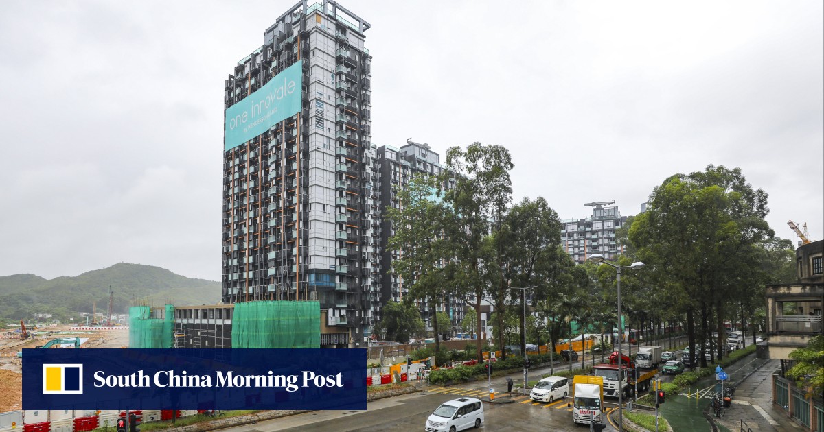 Amid largest property sale in two years, Hongkongers snap up bargain flats in New Territories