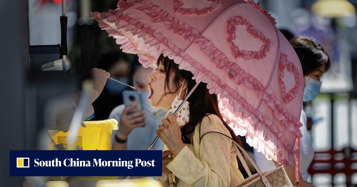 Chinese finance hub Shanghai set to reopen all schools, but Covid-19 ...